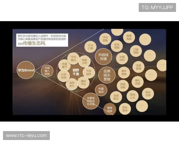 赛事传播渠道多元化 覆盖更广泛受众群体 赛事传播渠道多元化 覆盖更广泛受众群体